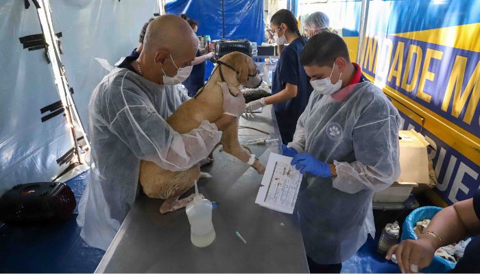 Foto: Patryck Madeira Com orçamento 440% maior, CastraPet Paraná vai intensificar vacinação antirrábica